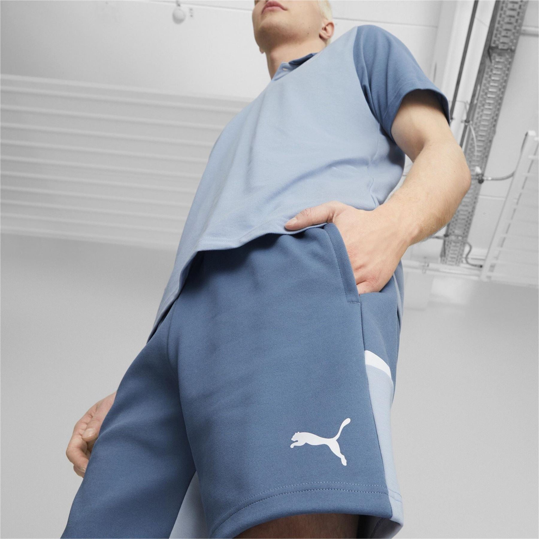 Puma Mens Casuals Shorts Football Shorts
