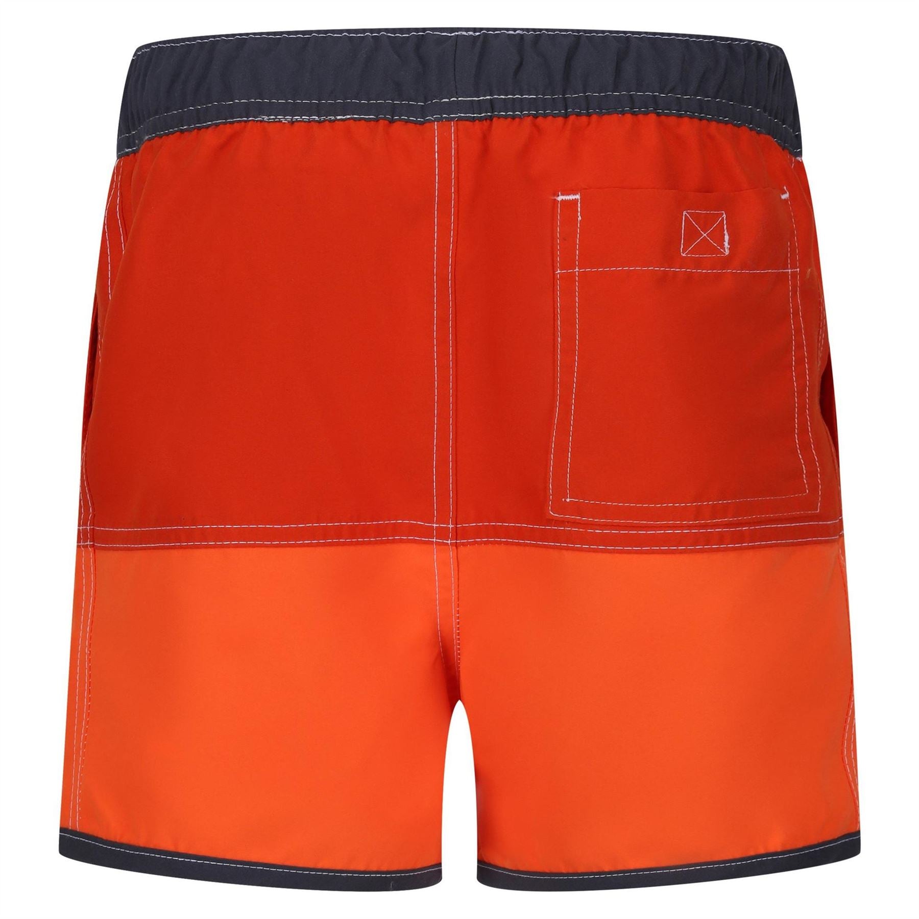 Regatta Sergio Color Block Swim Short