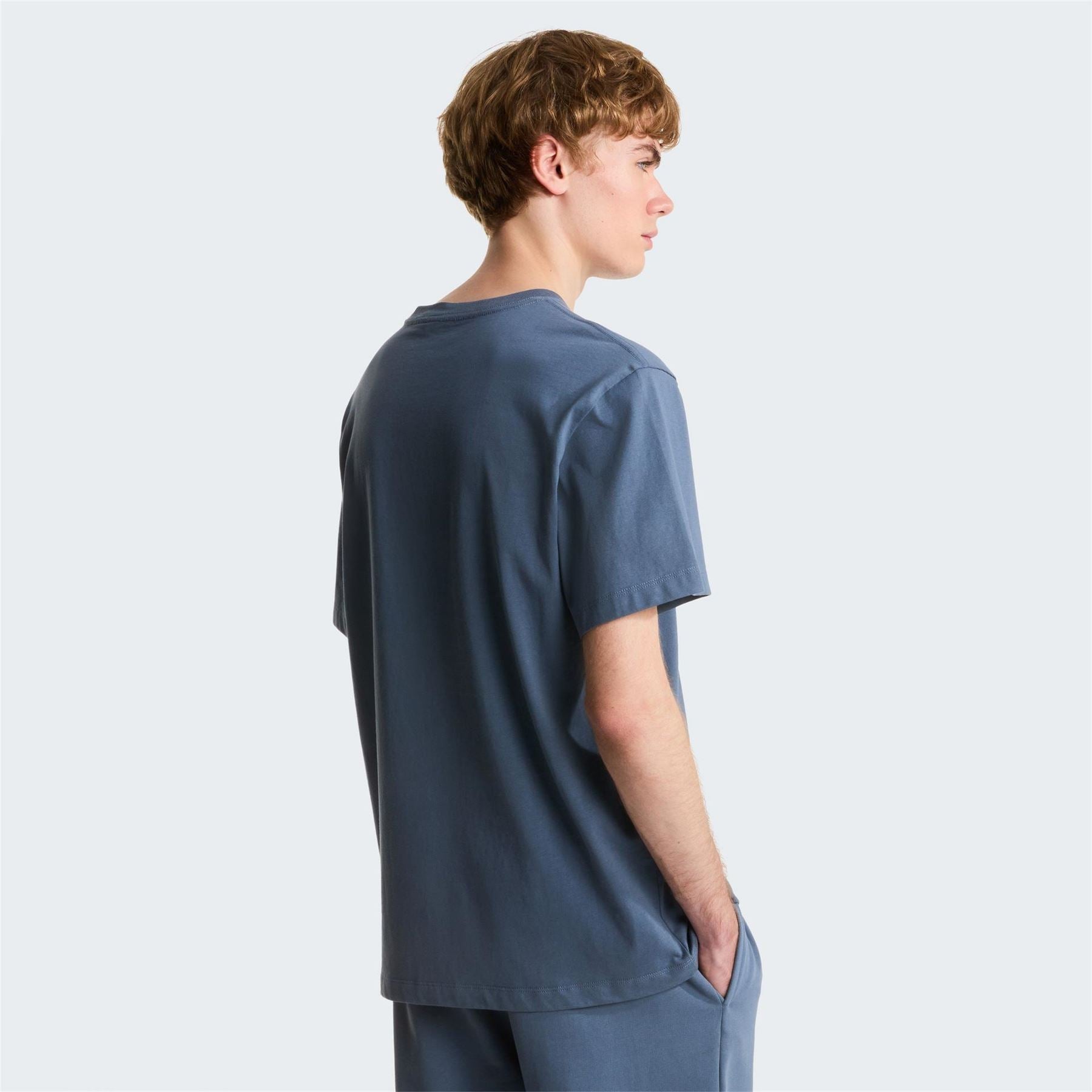 The North Face Mens Ess Central Logo Tee