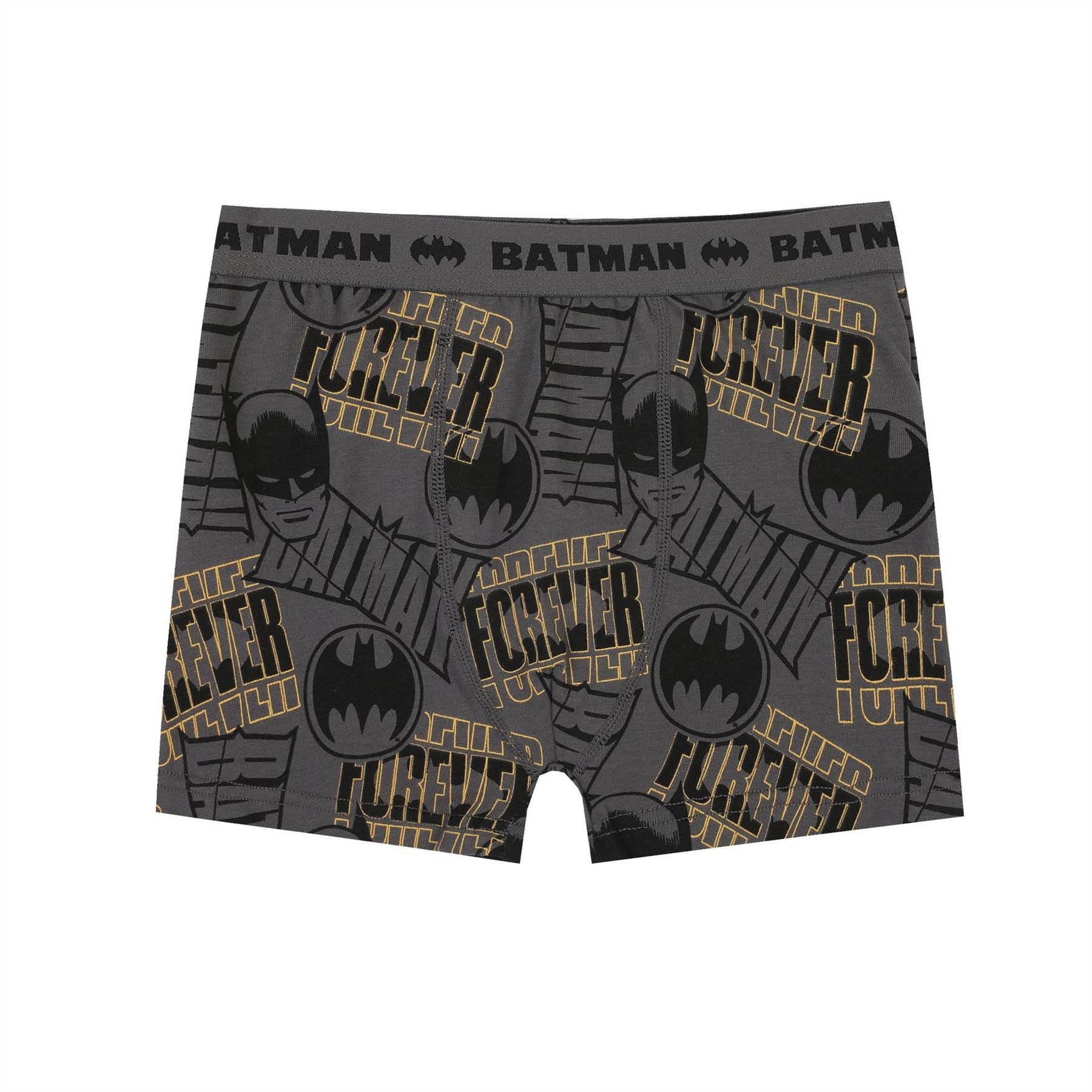 Character Boxer Briefs For Boys