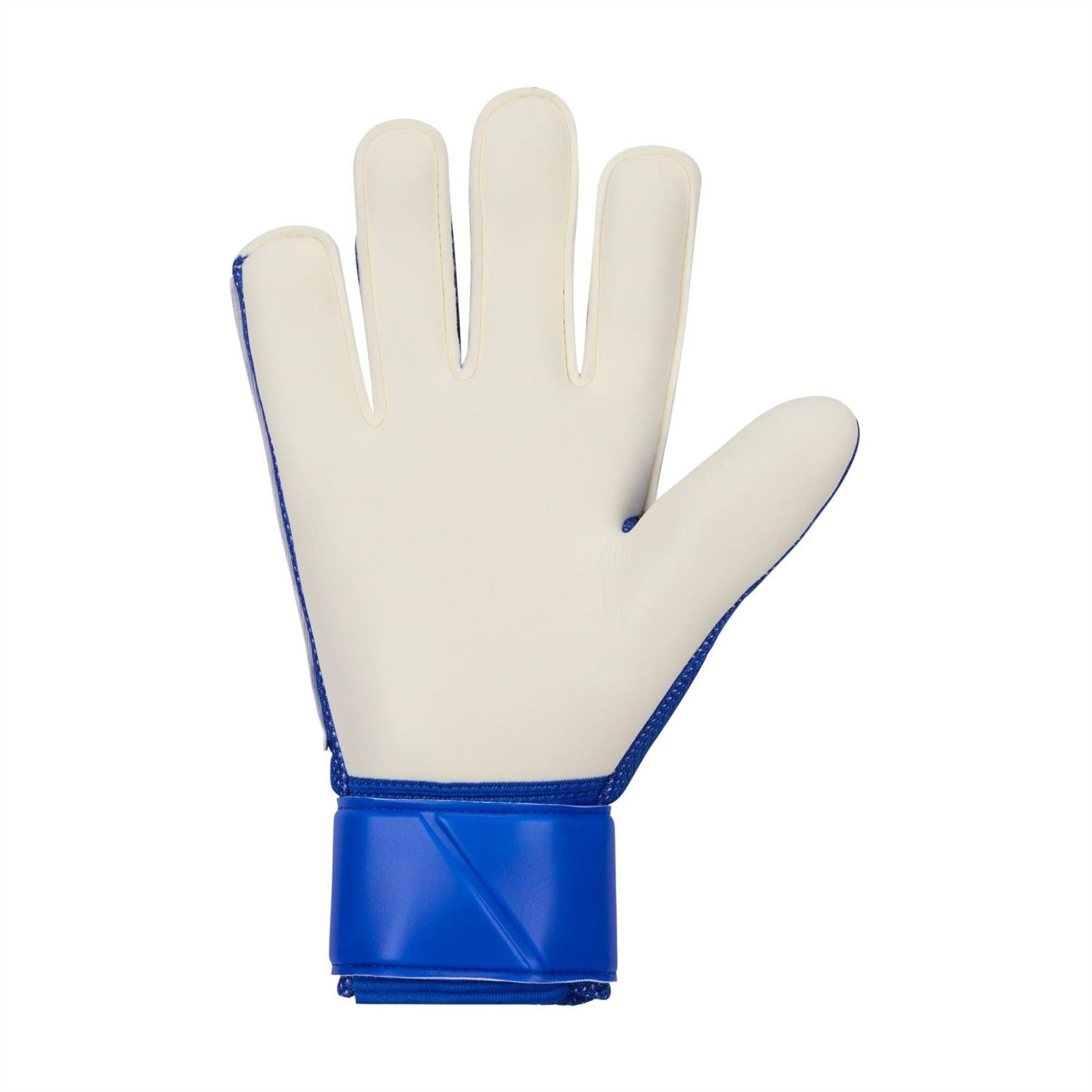 Nike Match Goalkeeper Gloves
