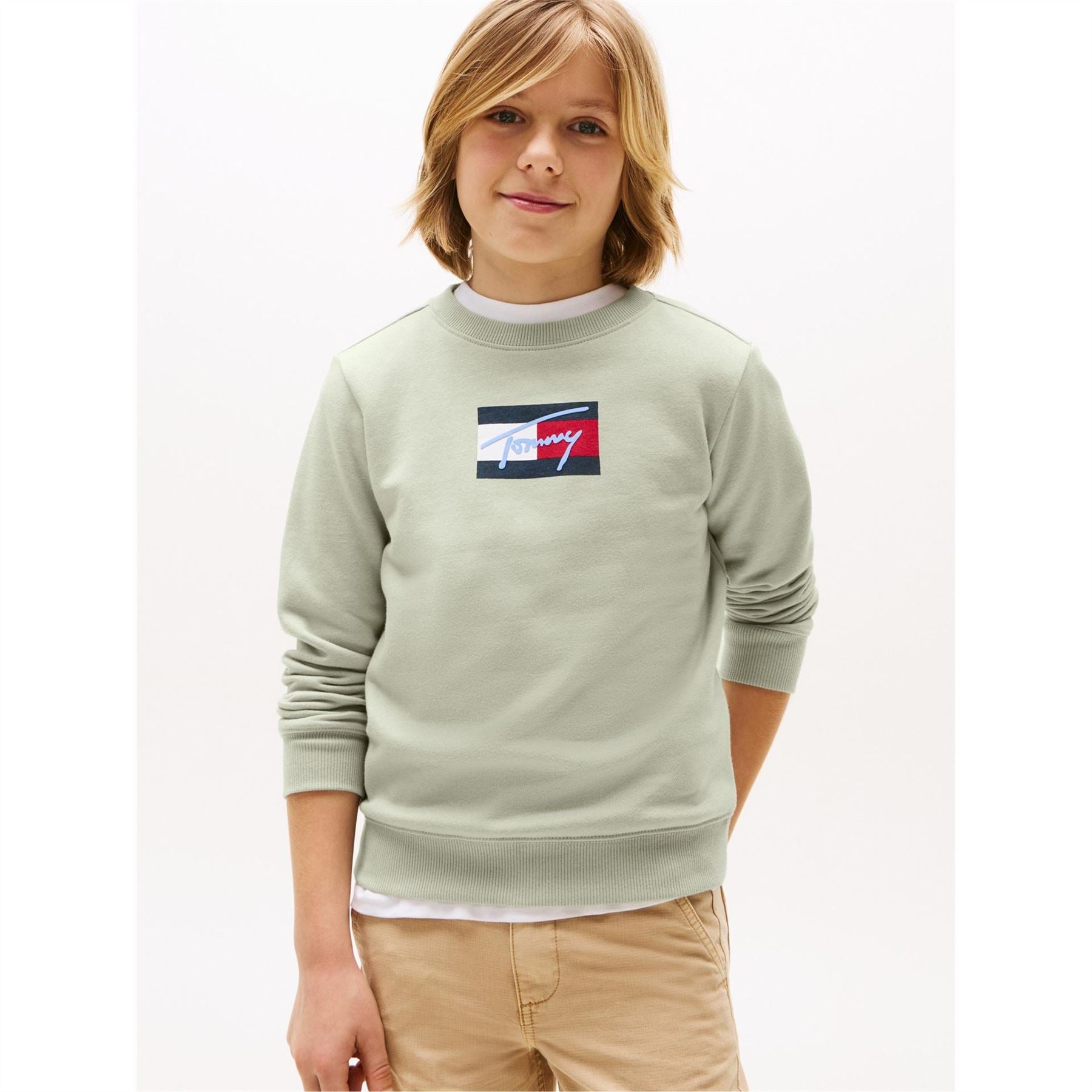 Tommy Hilfiger Regular Fit Crew Neck Sweatshirt