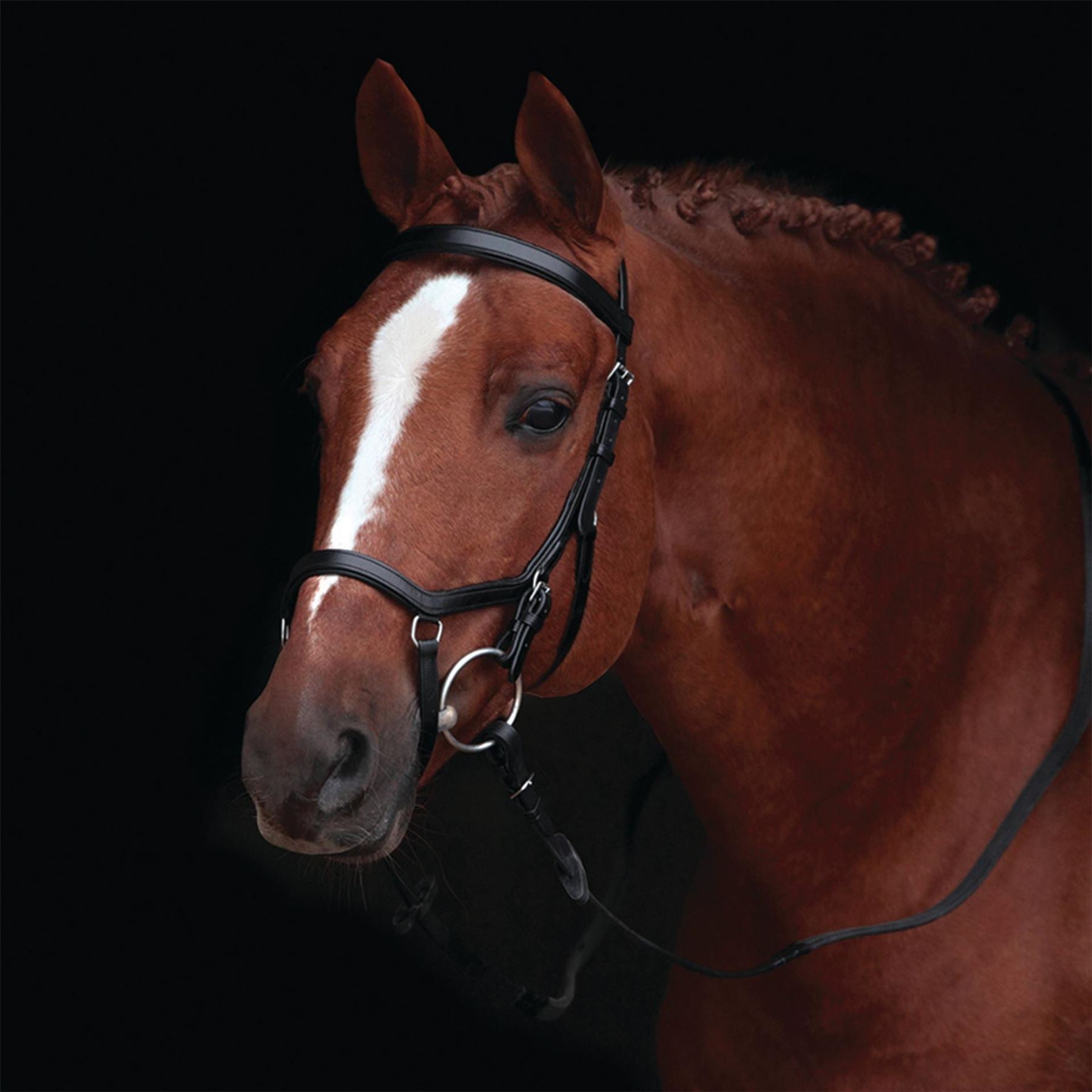 Rambo Micklem Original Competition Bridle
