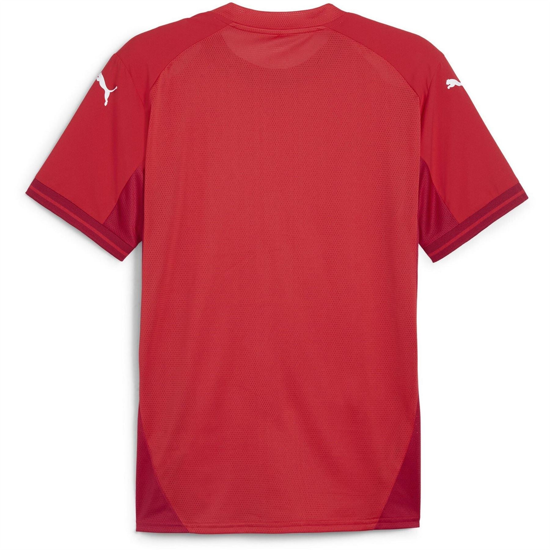 Puma Mens Teamfinal Jersey T-Shirt