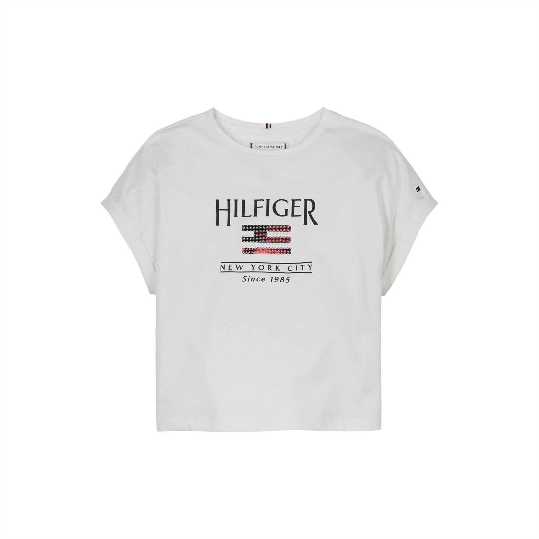 Tommy Hilfiger Regular Fit Flag Graphic Short Sleeve T-Shirt