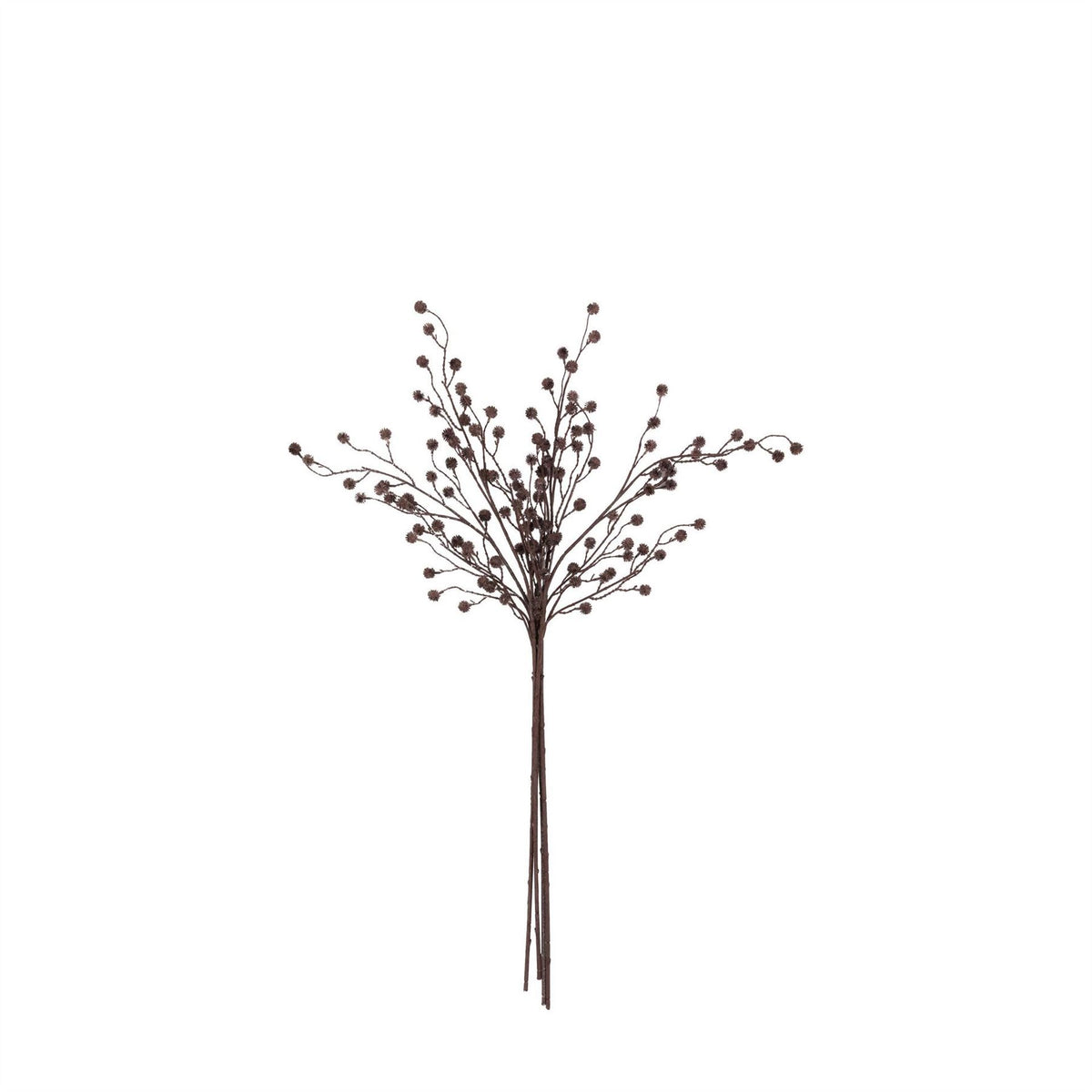 Gallery 5 Pk Rustic Be 64