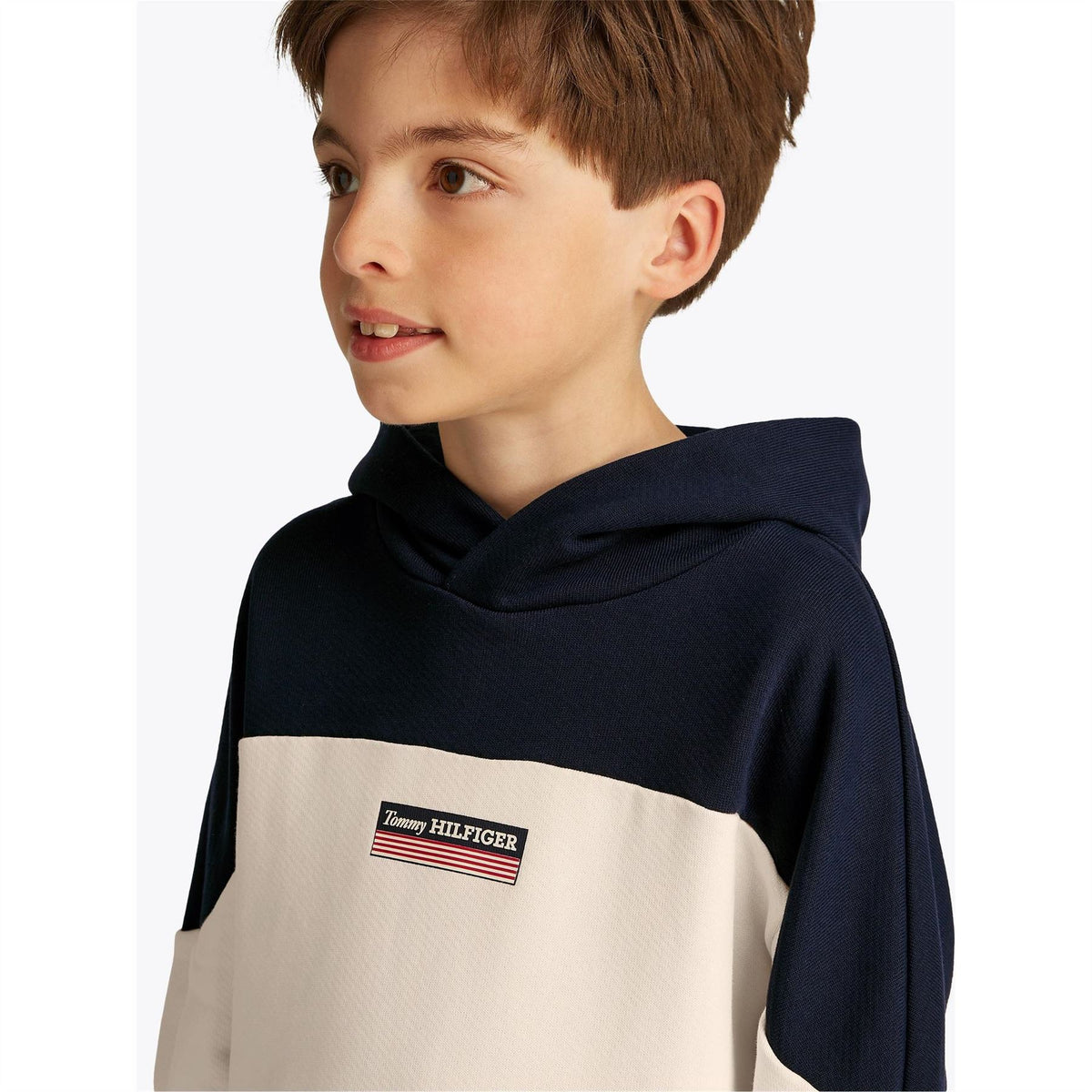 Tommy Hilfiger Regular Fit Striped Hooded Sweatshirt