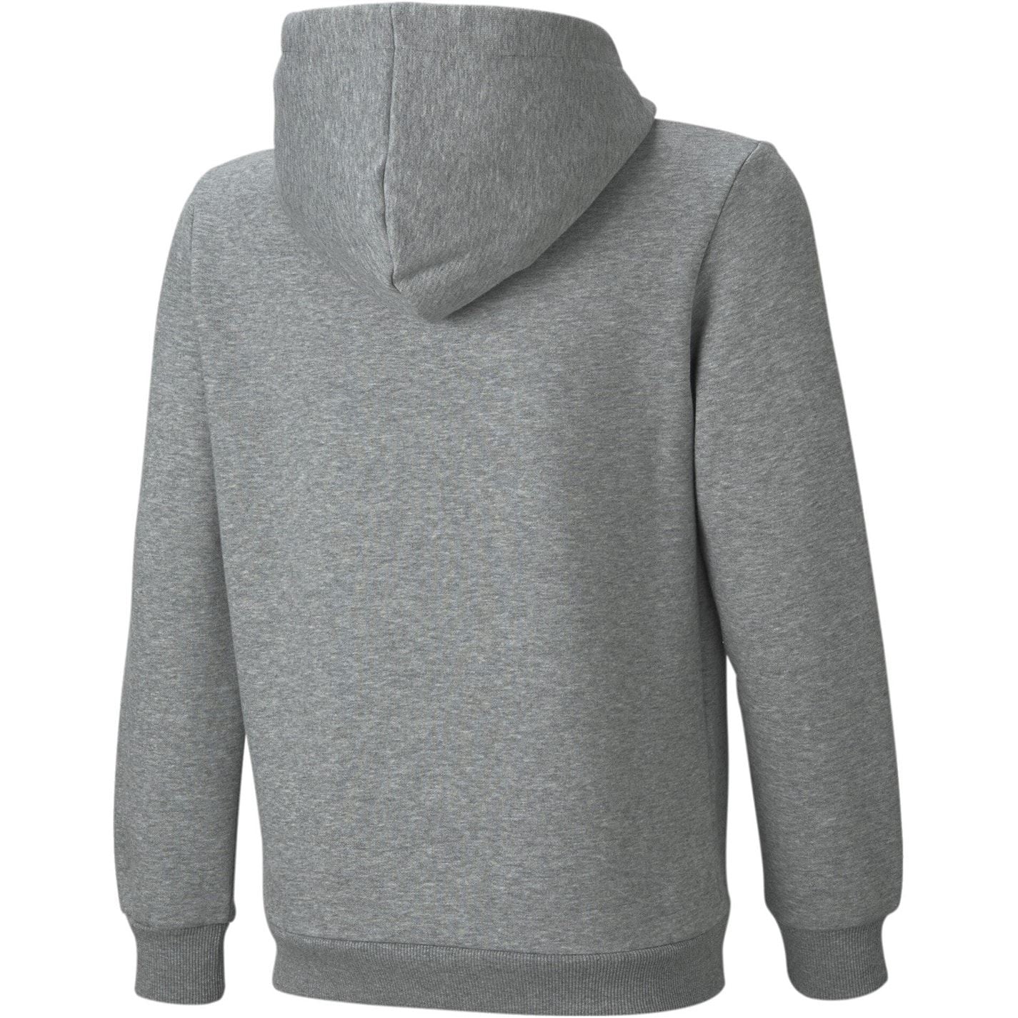 Puma No1 Oth Hoodie Junior Boys