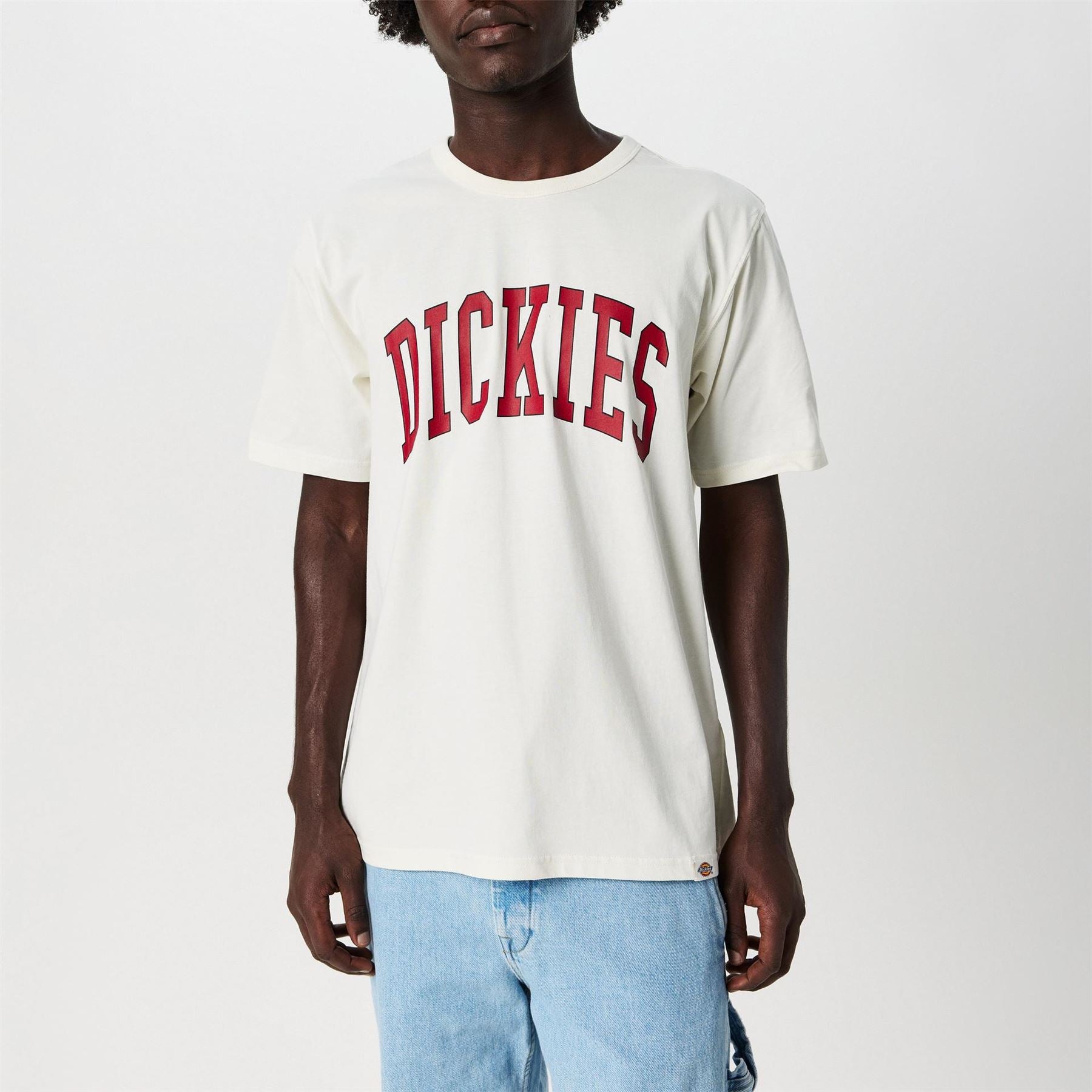 Dickies Aitkin Tee