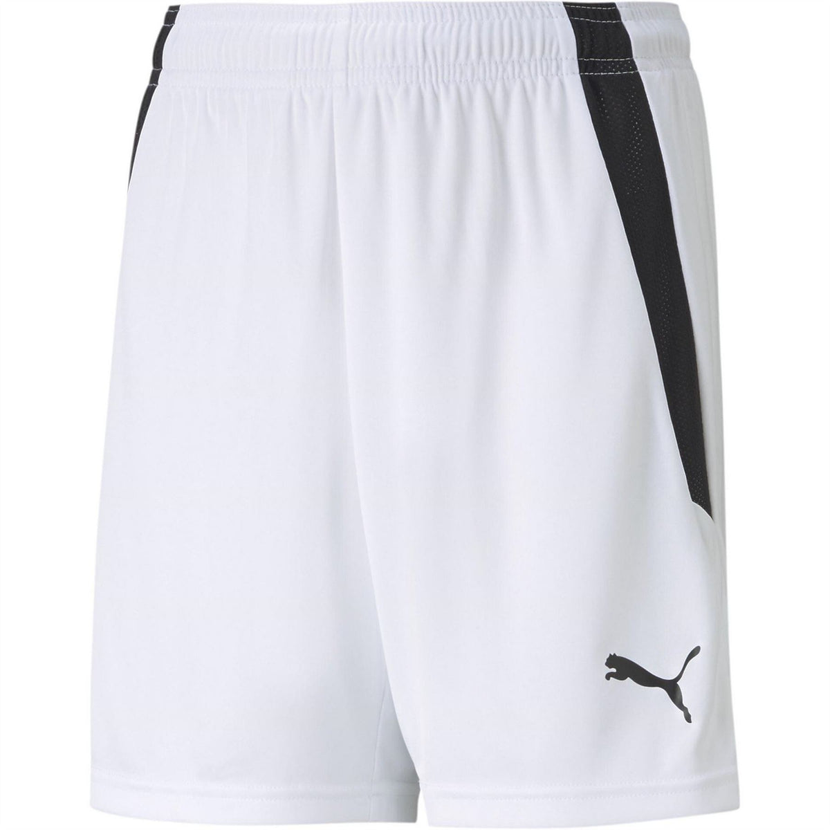 Puma Teamliga Shorts Jr Football Short Unisex Kids