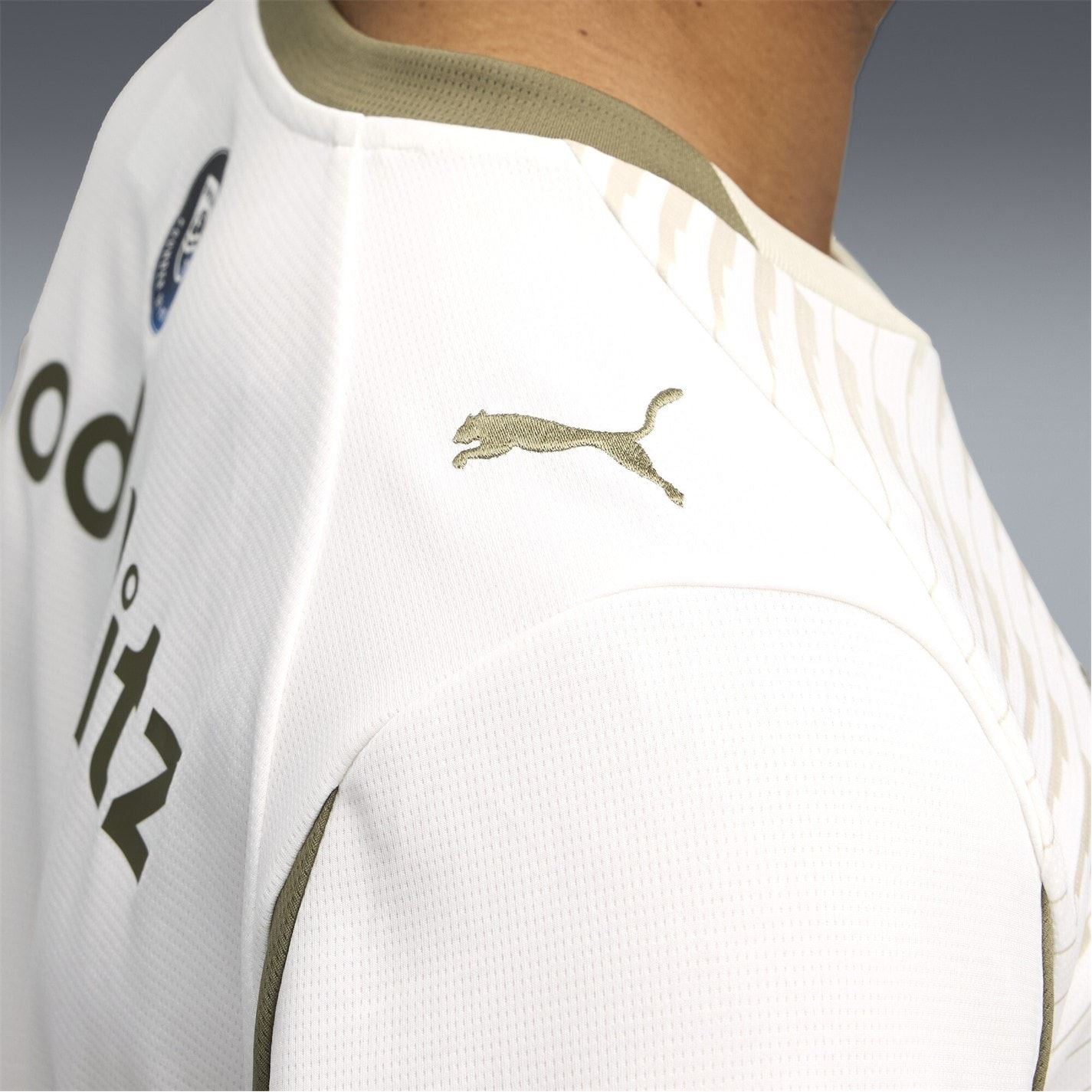 Puma Psv Third Shirt 2025 2026 Adults