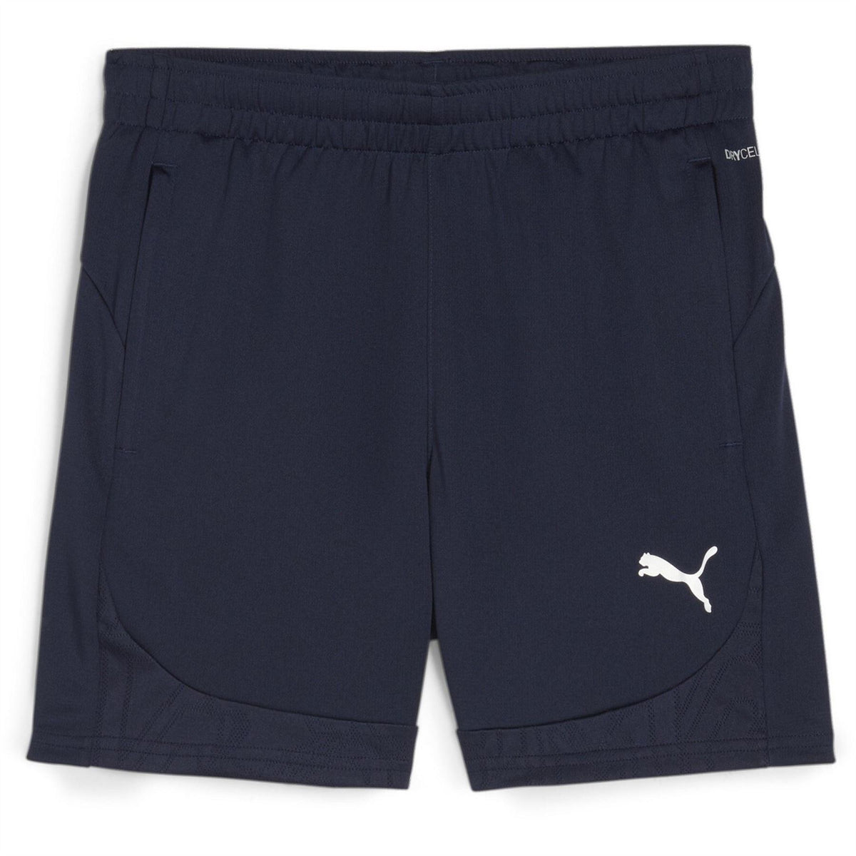 Puma Teamfinal Training Football Shorts