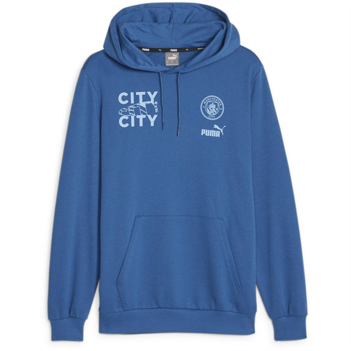 Puma Mens Ftblcore Graphic Hoody