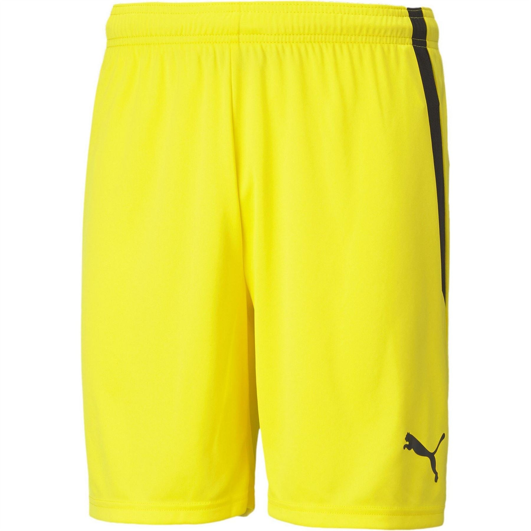 Puma Mens Teamliga Shorts Football Shorts