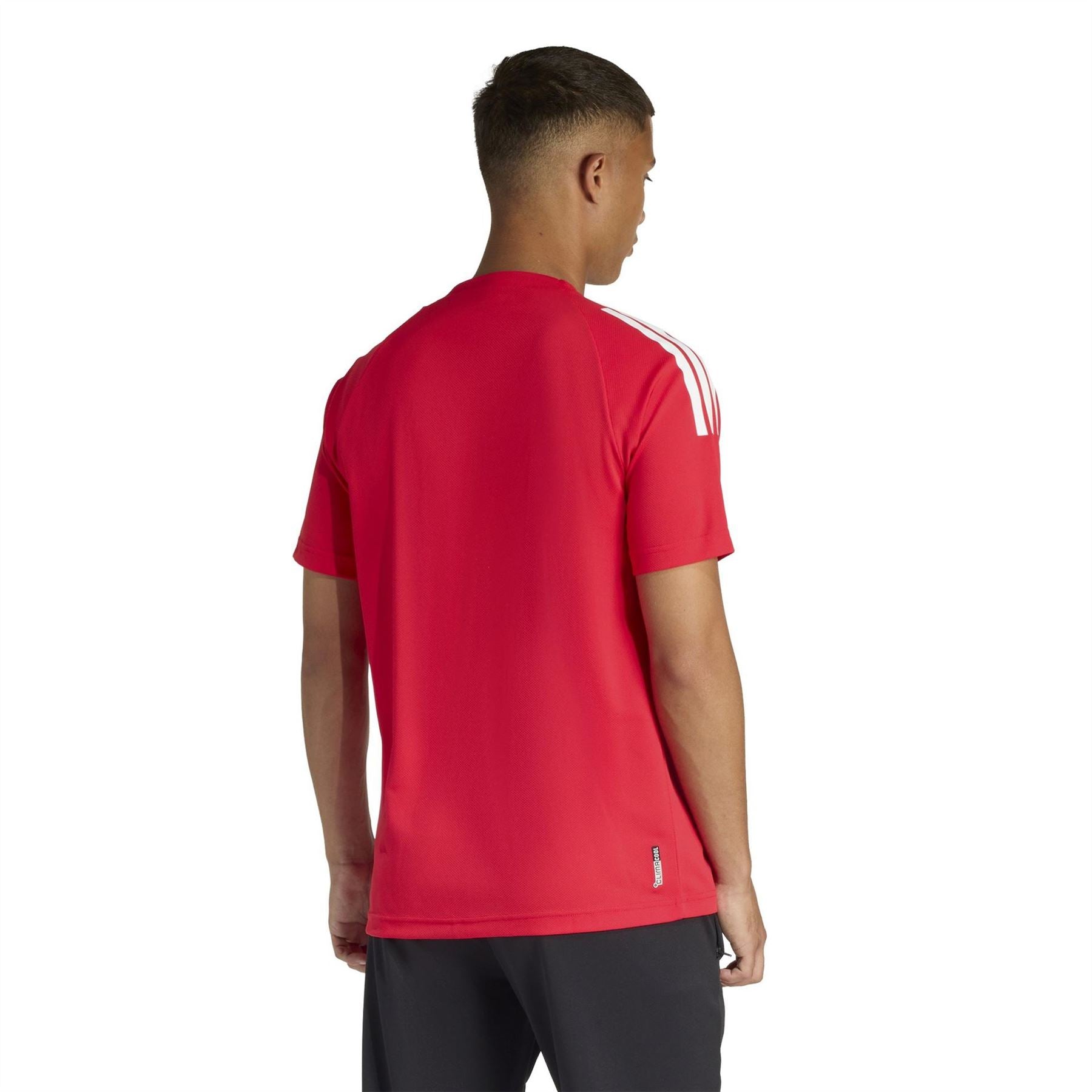 adidas Mens Classic 3 Stripe Sereno T-Shirt