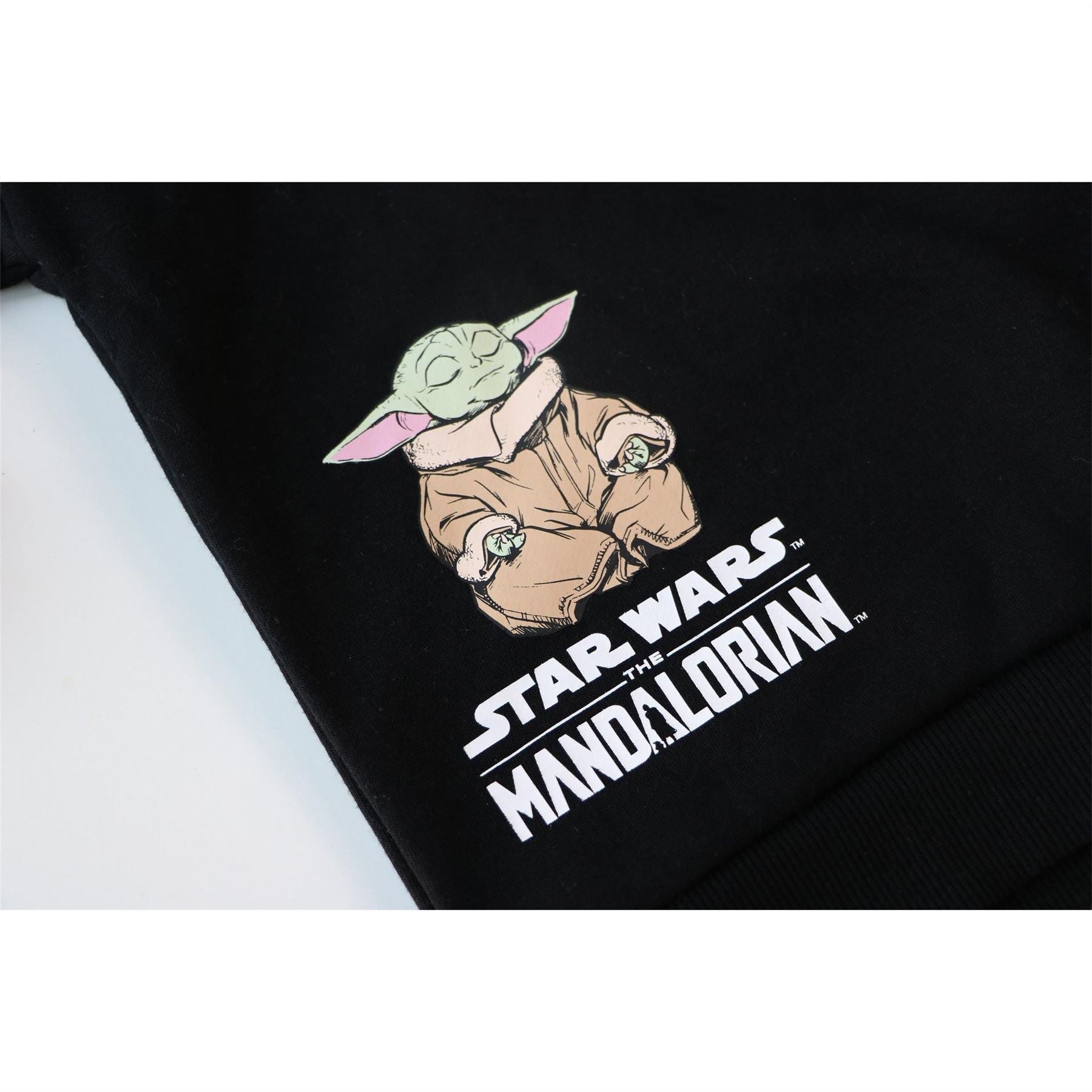 Character Hoody Junior