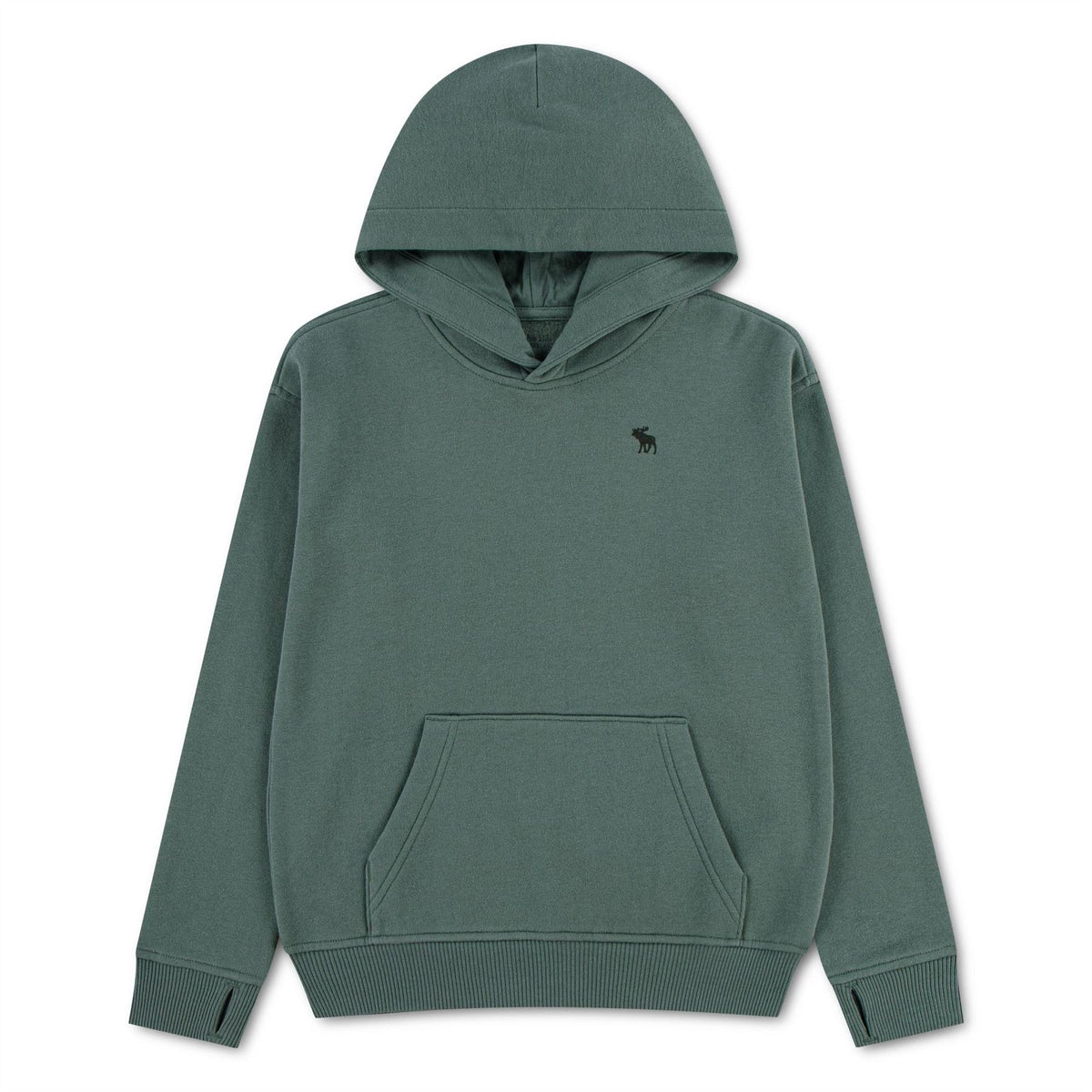Abercrombie and Fitch And F Esnt Fleece Hoody Jn64