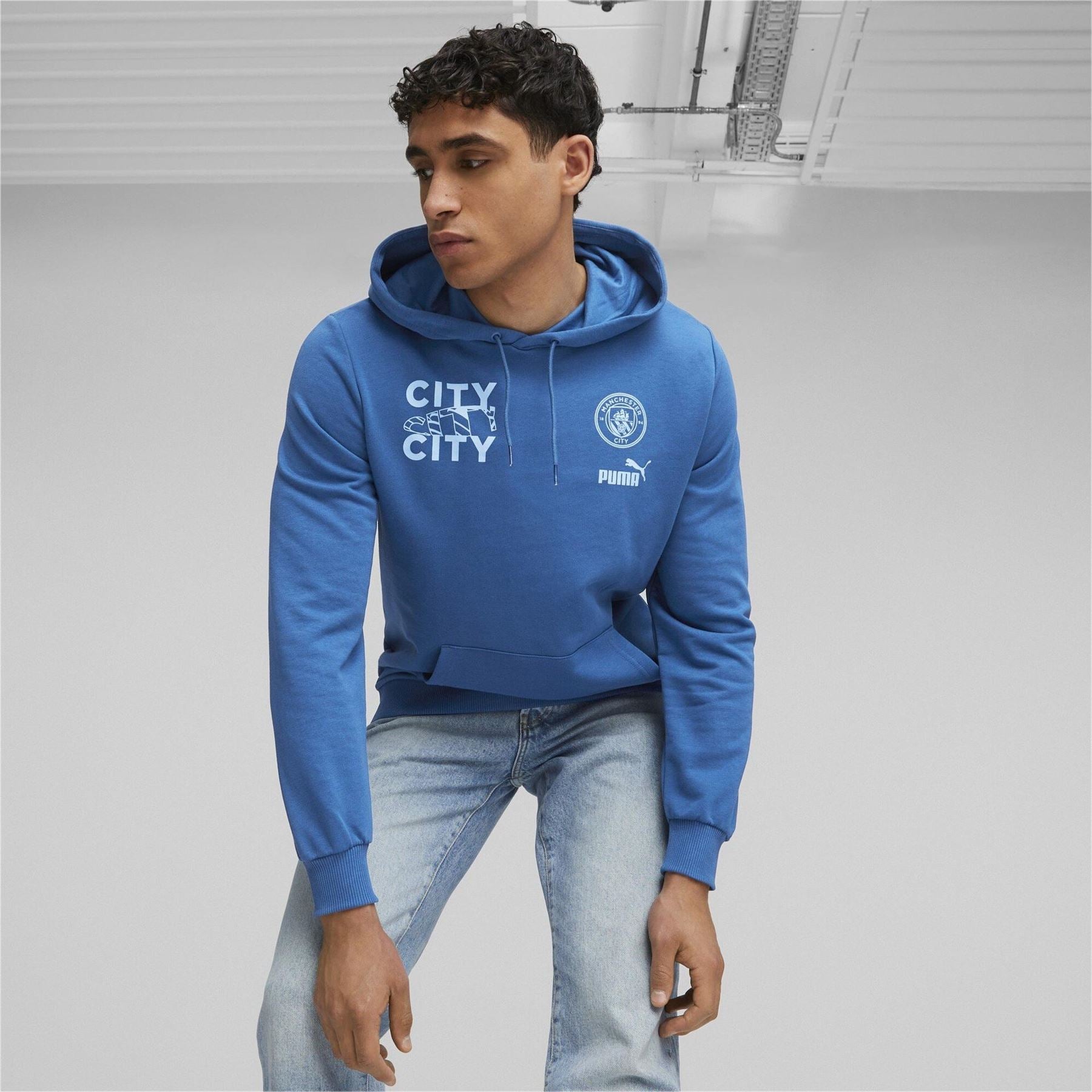 Puma Mens Ftblcore Graphic Hoody