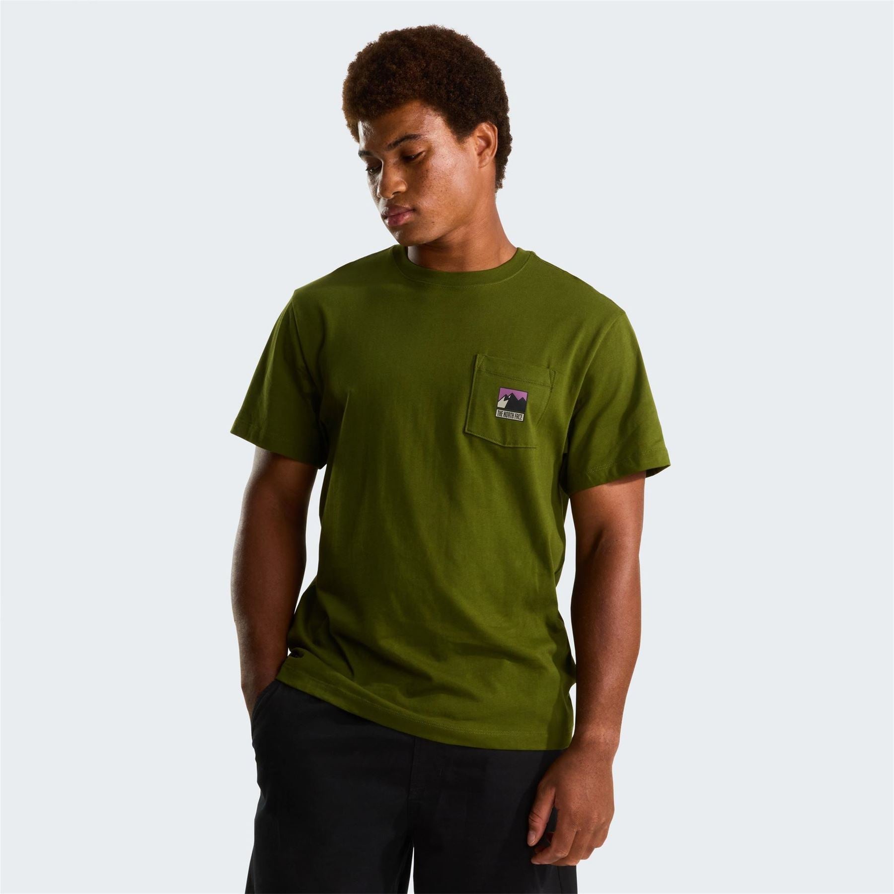 The North Face Mens Mountain Logo Tee