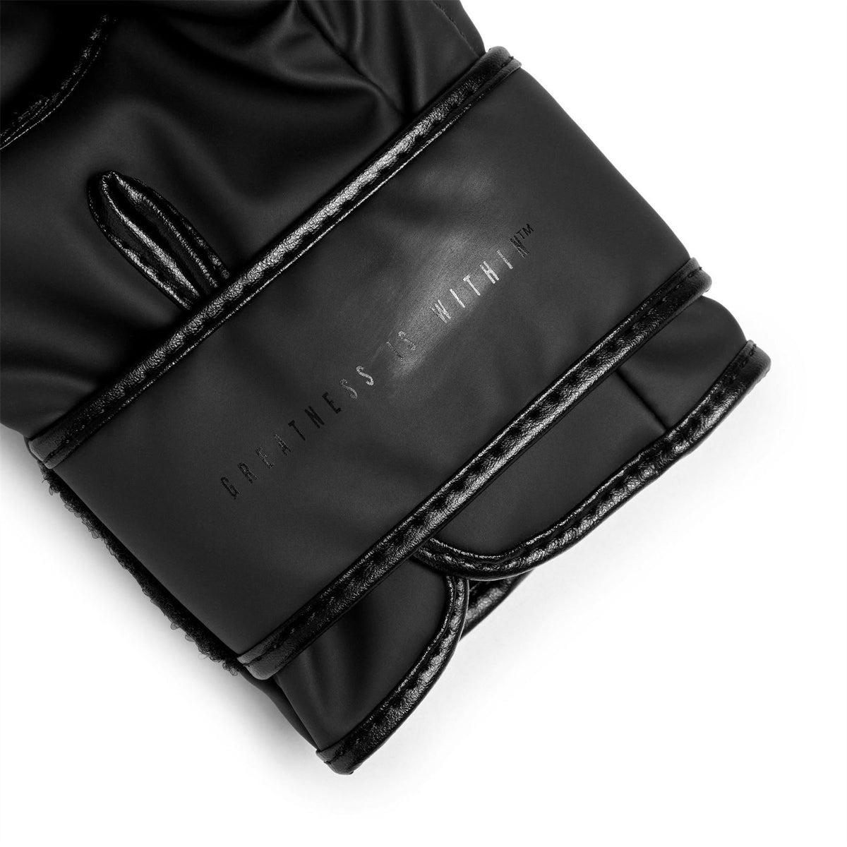 Everlast Mma Sparring Glove