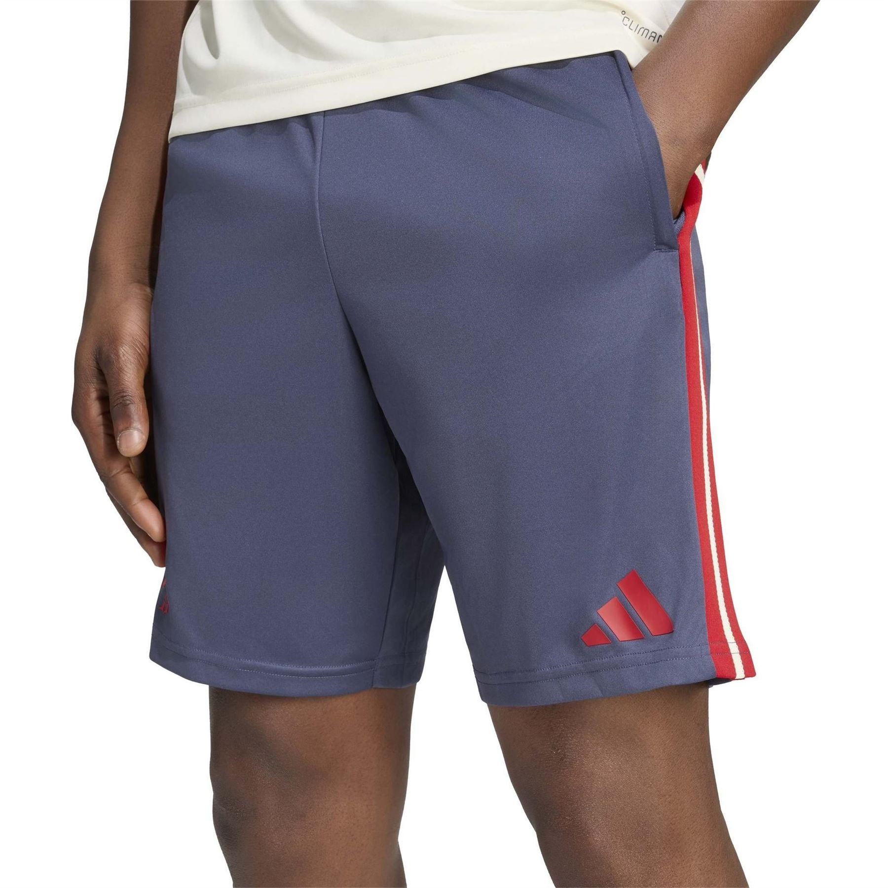adidas France Rugby Gym Shorts