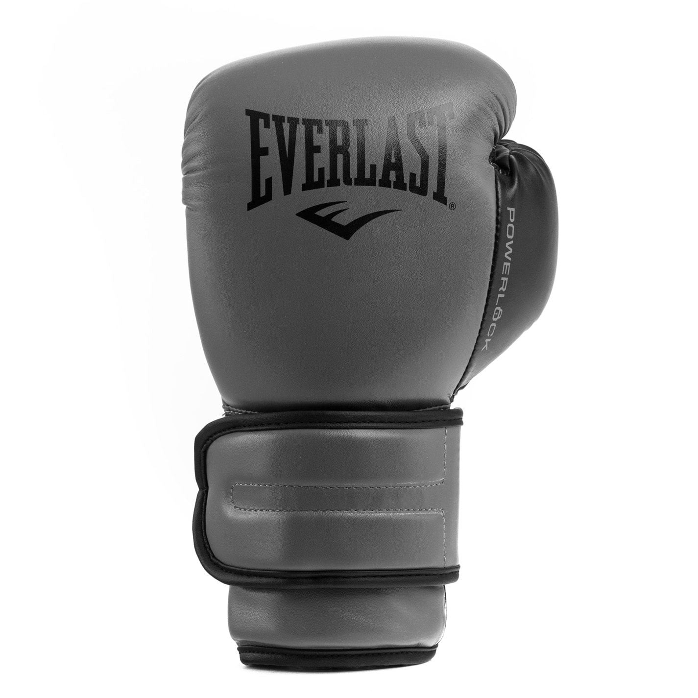 Everlast Boxing Hook  And  Loop Glove