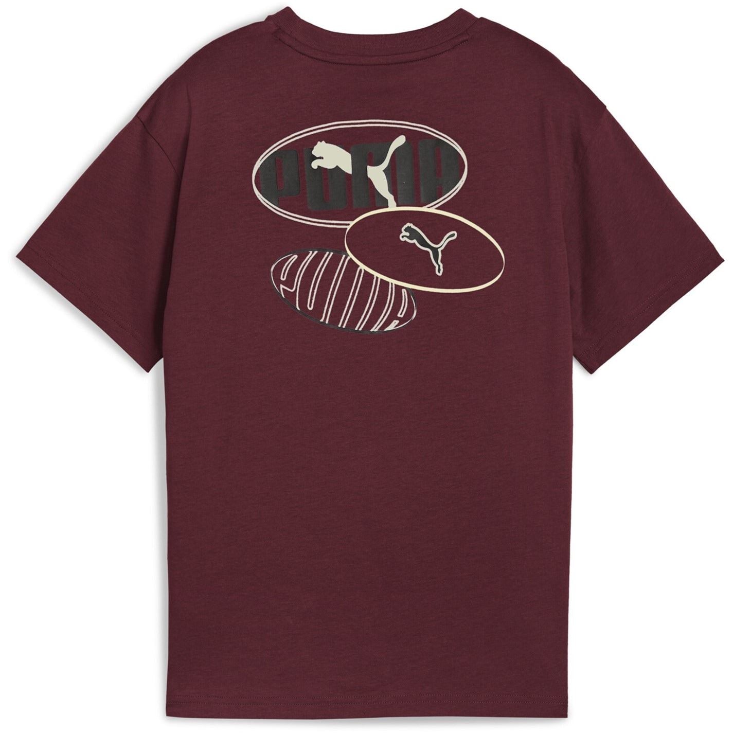 Puma Essentials Graphic Regular Fit T Shirt