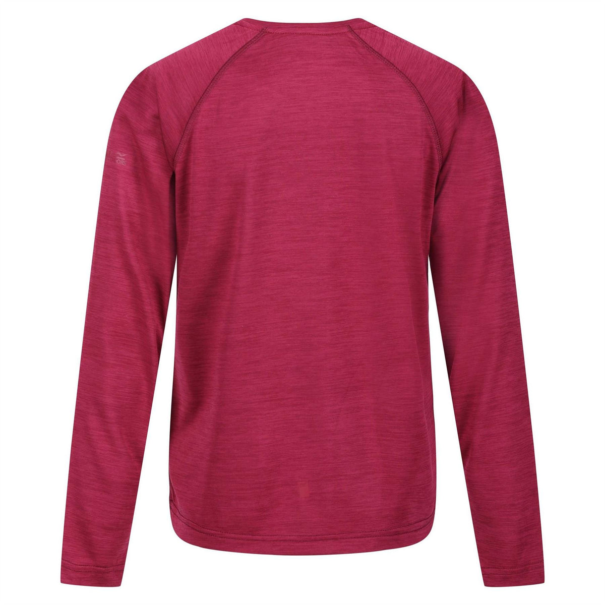 Regatta Burnlee Crew Neck Raglan Sleeve Jersey T-Shirt