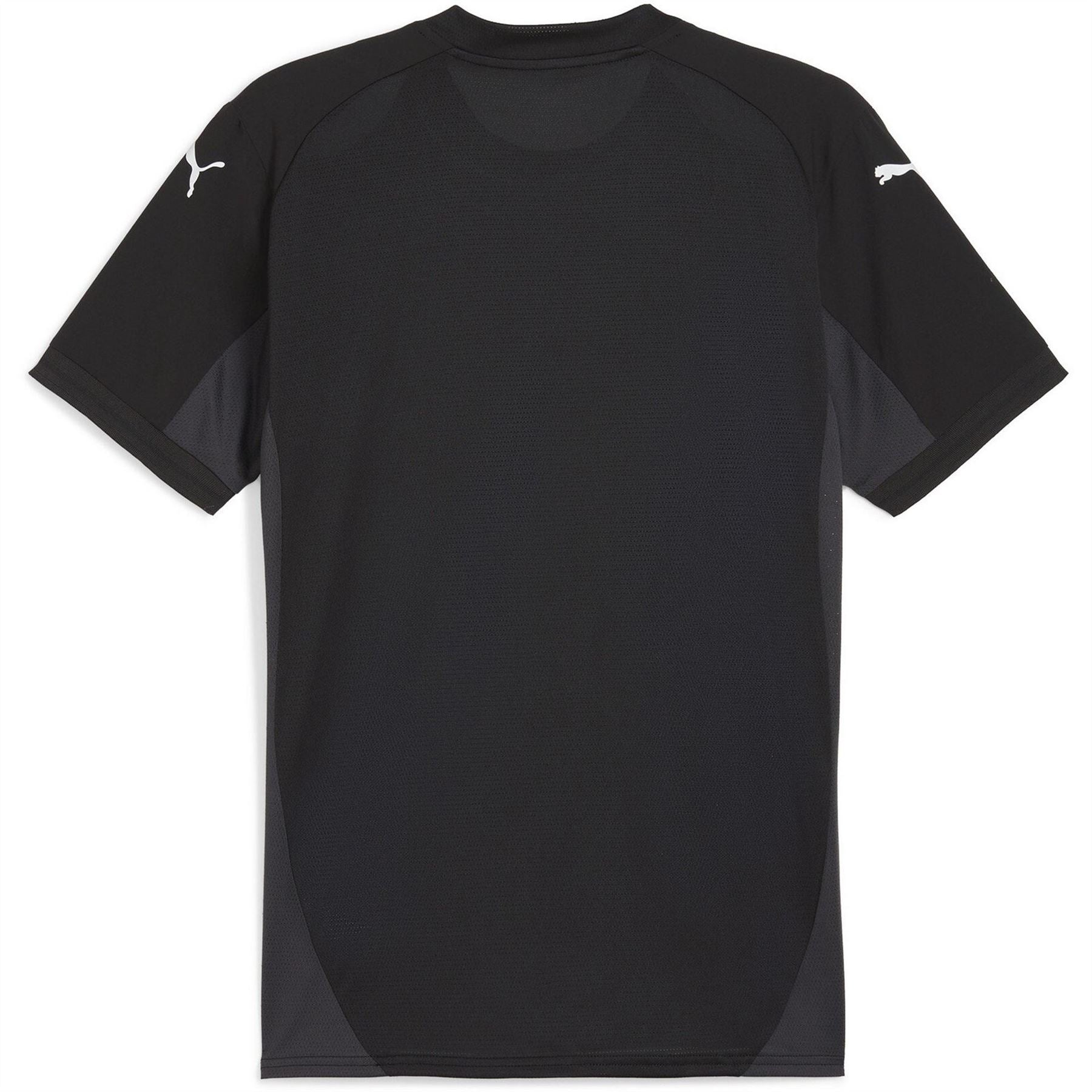 Puma Mens Teamfinal Jersey T-Shirt