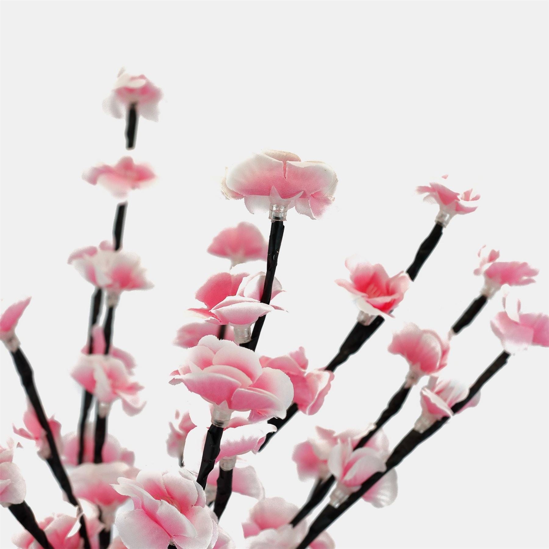 Streetwize Cherry Blossom Tree