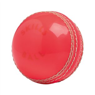 Gunn And Moore Skills Cricket Ball