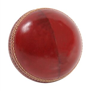 Aero Net Practice Cricket Ball