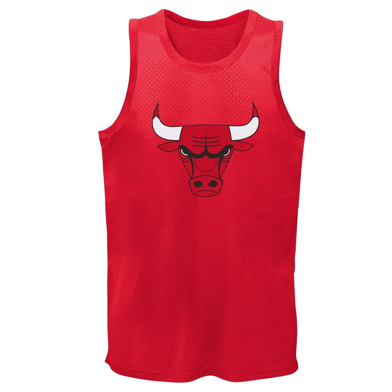 NBA Chicago Bulls Mesh Jersey Juniors