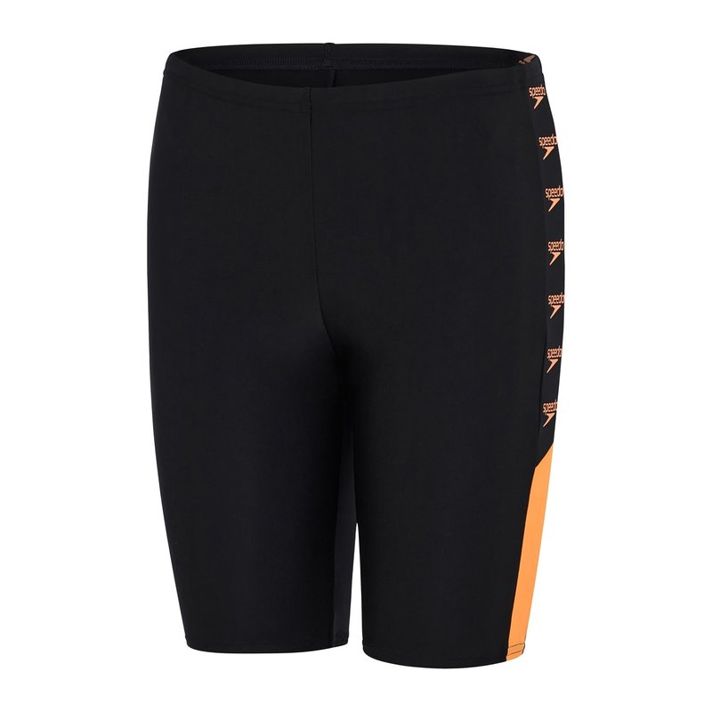 Speedo Boom Logo Jammers Junior Boys