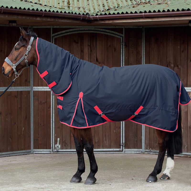 Requisite Combo 600 Medium 220g Turnout Rug