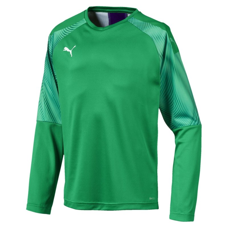 Puma Cup GK Jrsy LS Jn99