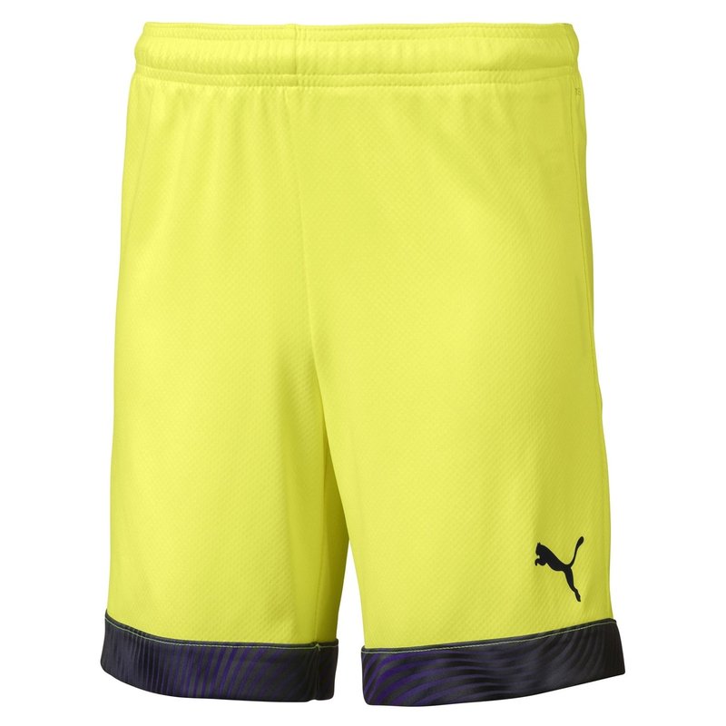 Puma CUP Goalkeeper Shorts Juniors