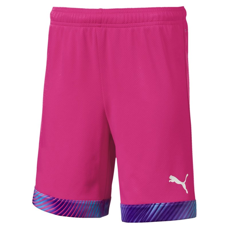 Puma CUP Goalkeeper Shorts Juniors