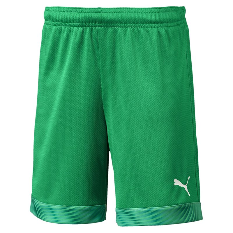Puma CUP Goalkeeper Shorts Juniors