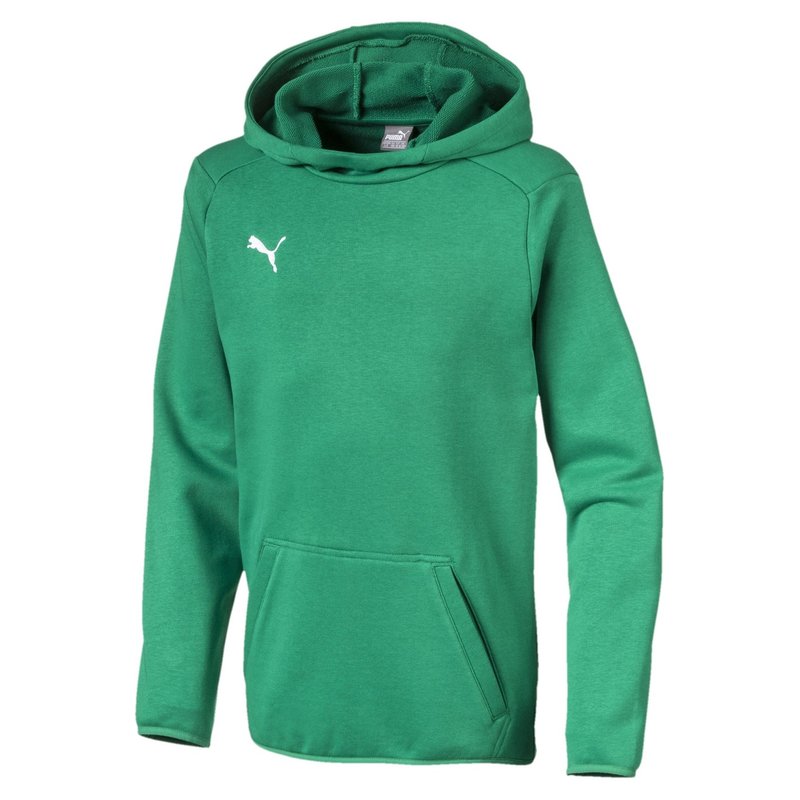 Puma Casuals Hoodie Juniors