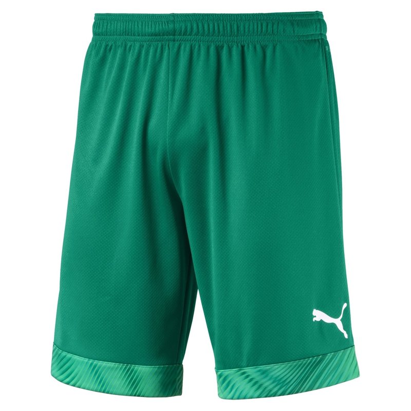 Puma CUP Shorts Mens