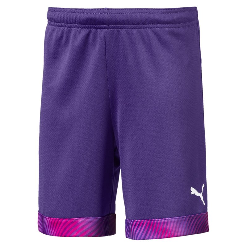 Puma Football Shorts Juniors