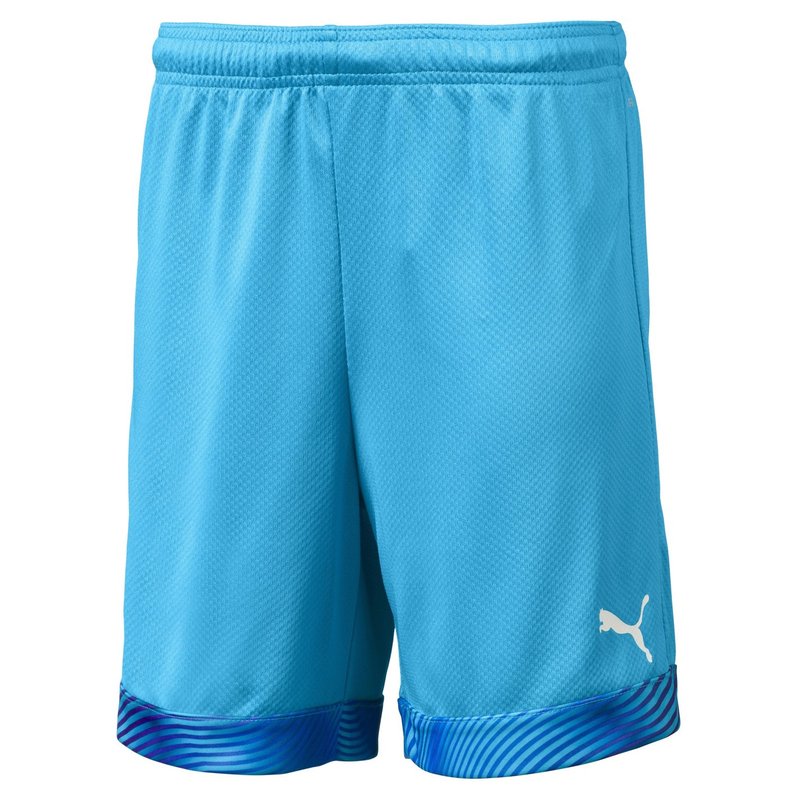 Puma CUP Goalkeeper Shorts Juniors