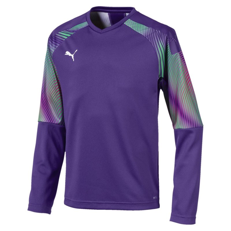 Puma Cup GK Jrsy LS Jn99