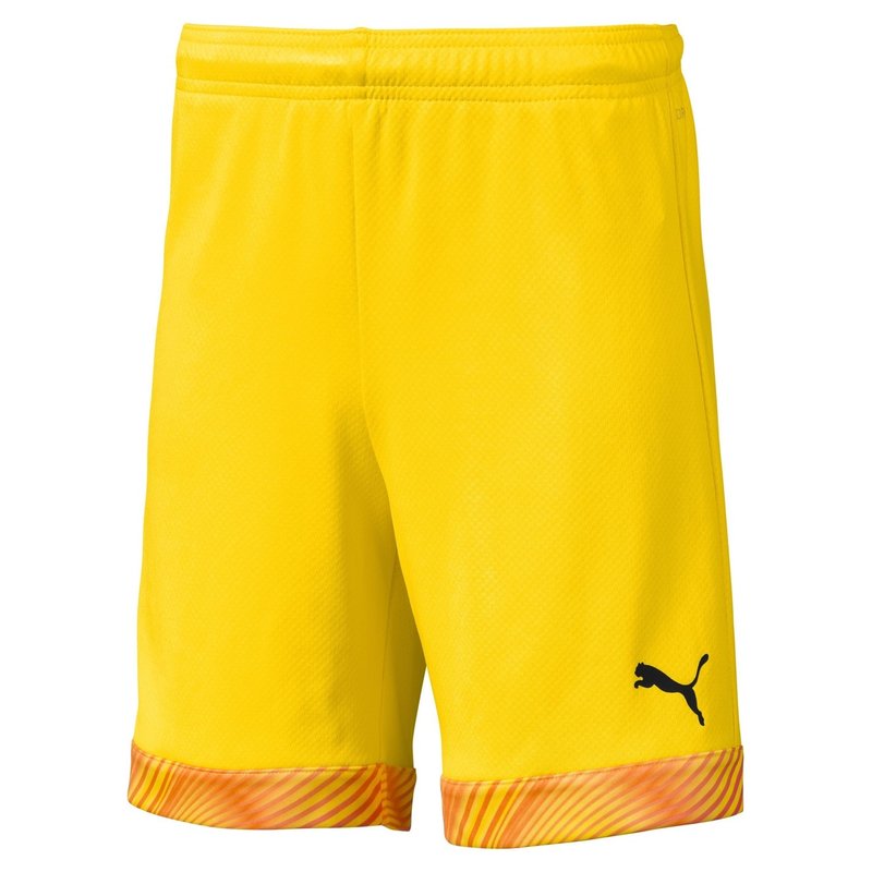 Puma CUP Goalkeeper Shorts Juniors