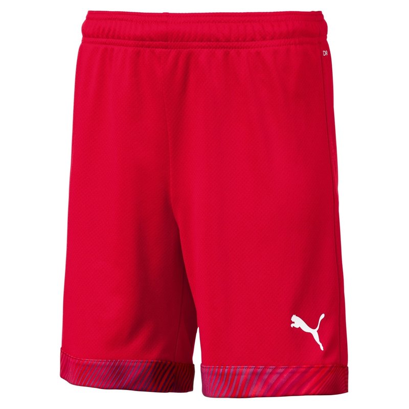 Puma Football Shorts Juniors