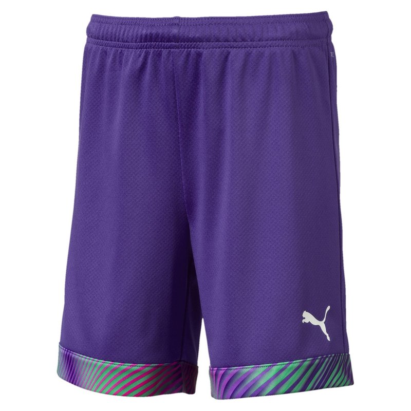 Puma CUP Goalkeeper Shorts Juniors