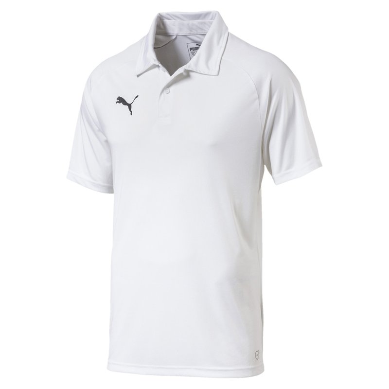 Puma Sideline Polo Sn99
