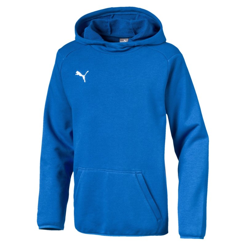 Puma Casuals Hoodie Juniors
