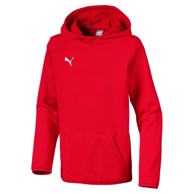 Puma Casuals Hoodie Juniors